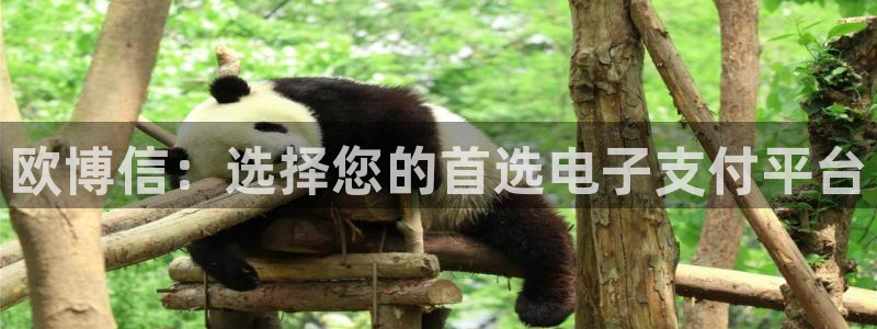 银河娱乐vk
