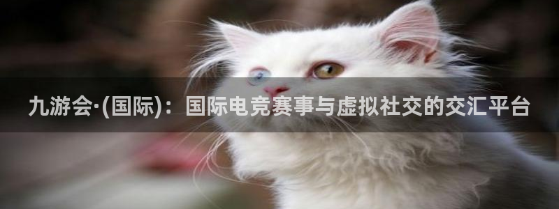 银河娱乐5注册：九游会·(国际)：国际电竞赛事与虚拟社交的交汇平台