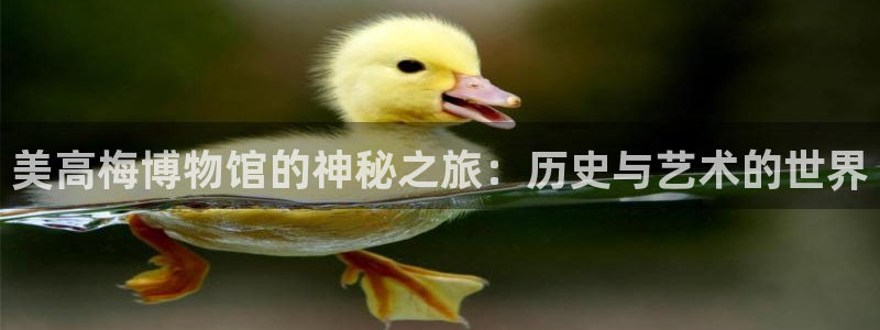 银河娱乐体育3在线注册：美高梅博物馆的神秘之旅：历史与艺术的世界