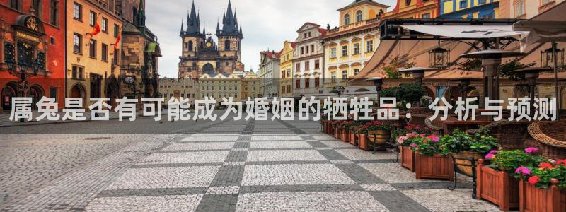 银河娱乐平台在线注册：属兔是否有可能成为婚姻的牺牲品：分析与预测