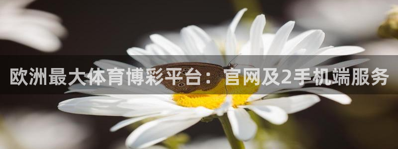 银河娱乐平台：欧洲最大体育博彩平台：官网及2手机端服务