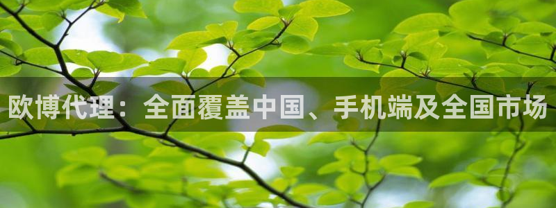 银河娱乐平台总代理：欧博代理：全面覆盖中国、手机端及全国市场