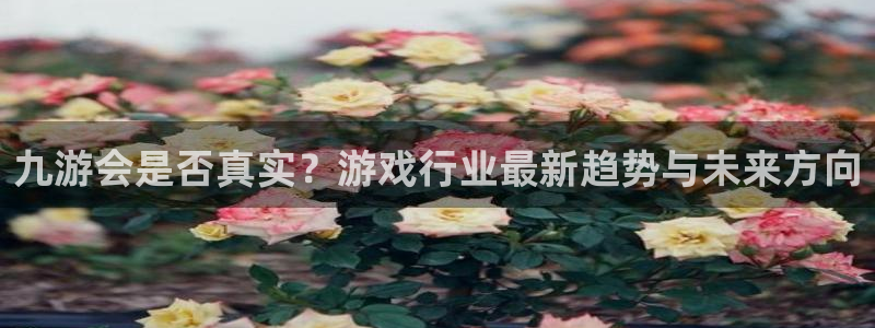 银河娱乐体育凯捷平台代理：九游会是否真实？游戏行业最新趋势与未来方向