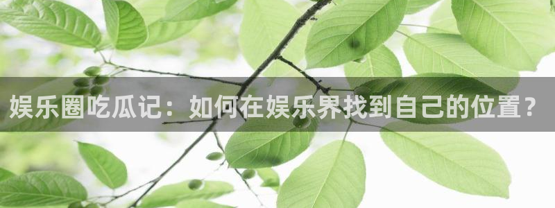 银河娱乐主管：娱乐圈吃瓜记：如何在娱乐界找到自己的位置？
