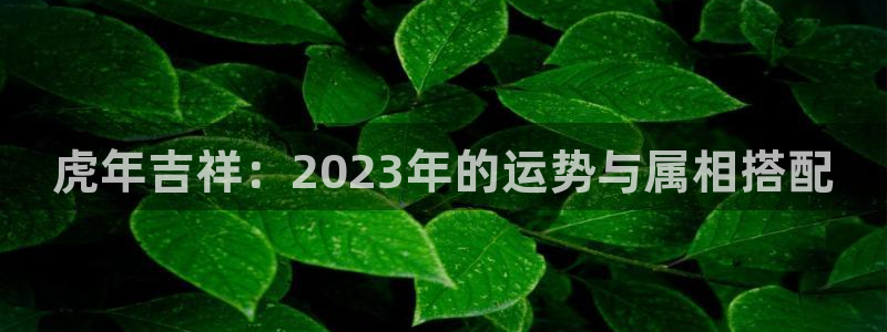 银河娱乐体育eon：虎年吉祥：2023年的运势与属相搭配