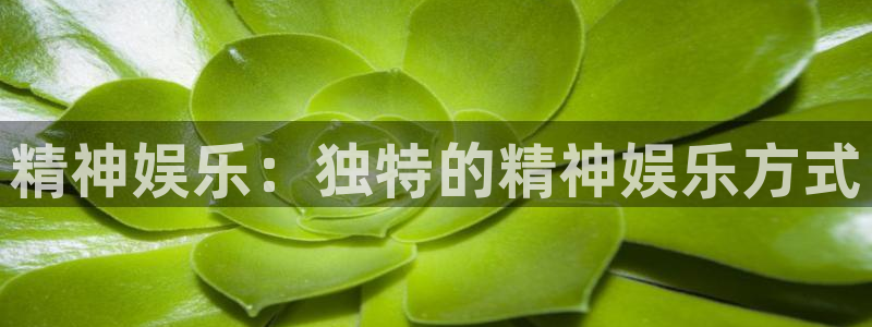 银河娱乐5招商：精神娱乐：独特的精神娱乐方式
