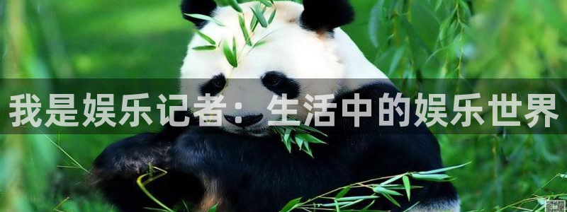 银河娱乐体育论坛：我是娱乐记者：生活中的娱乐世界