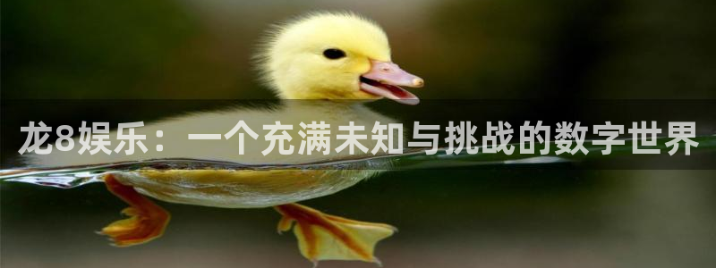 银河娱乐4注册：龙8娱乐：一个充满未知与挑战的数字世界