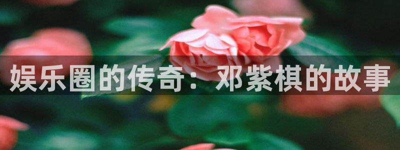 银河娱乐体育注册：娱乐圈的传奇：邓紫棋的故事