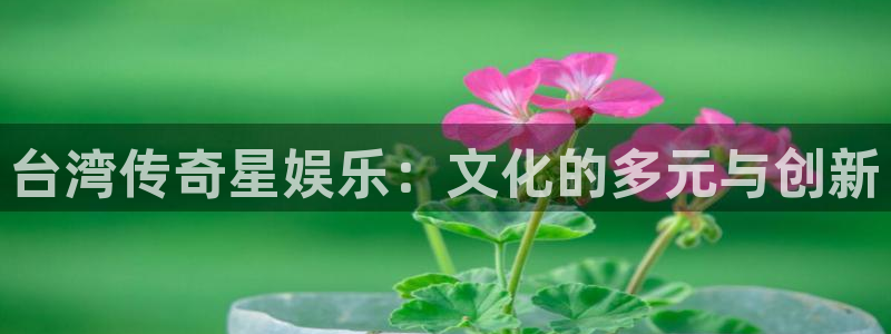 银河娱乐4平台：台湾传奇星娱乐：文化的多元与创新