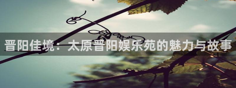 银河娱乐体育官网入口登录：晋阳佳境：太原晋阳娱乐苑的魅力与故事