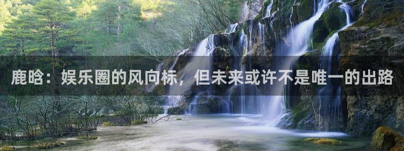 银河娱乐平台开户链接：鹿晗：娱乐圈的风向标，但未来或许不是唯一的出路
