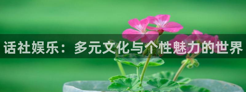 银河娱乐：话社娱乐：多元文化与个性魅力的世界