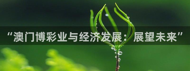 银河娱乐体育注册：“澳门博彩业与经济发展：展望未来”