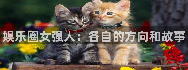 银河娱乐4注册：娱乐圈女强人：各自的方向和故事