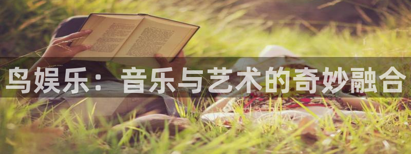 银河娱乐体育凯捷平台注册：鸟娱乐：音乐与艺术的奇妙融合