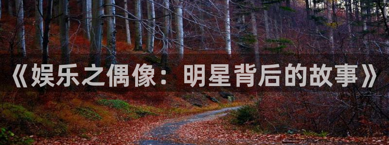 银河娱乐体育代理申请流程：《娱乐之偶像：明星背后的故事》